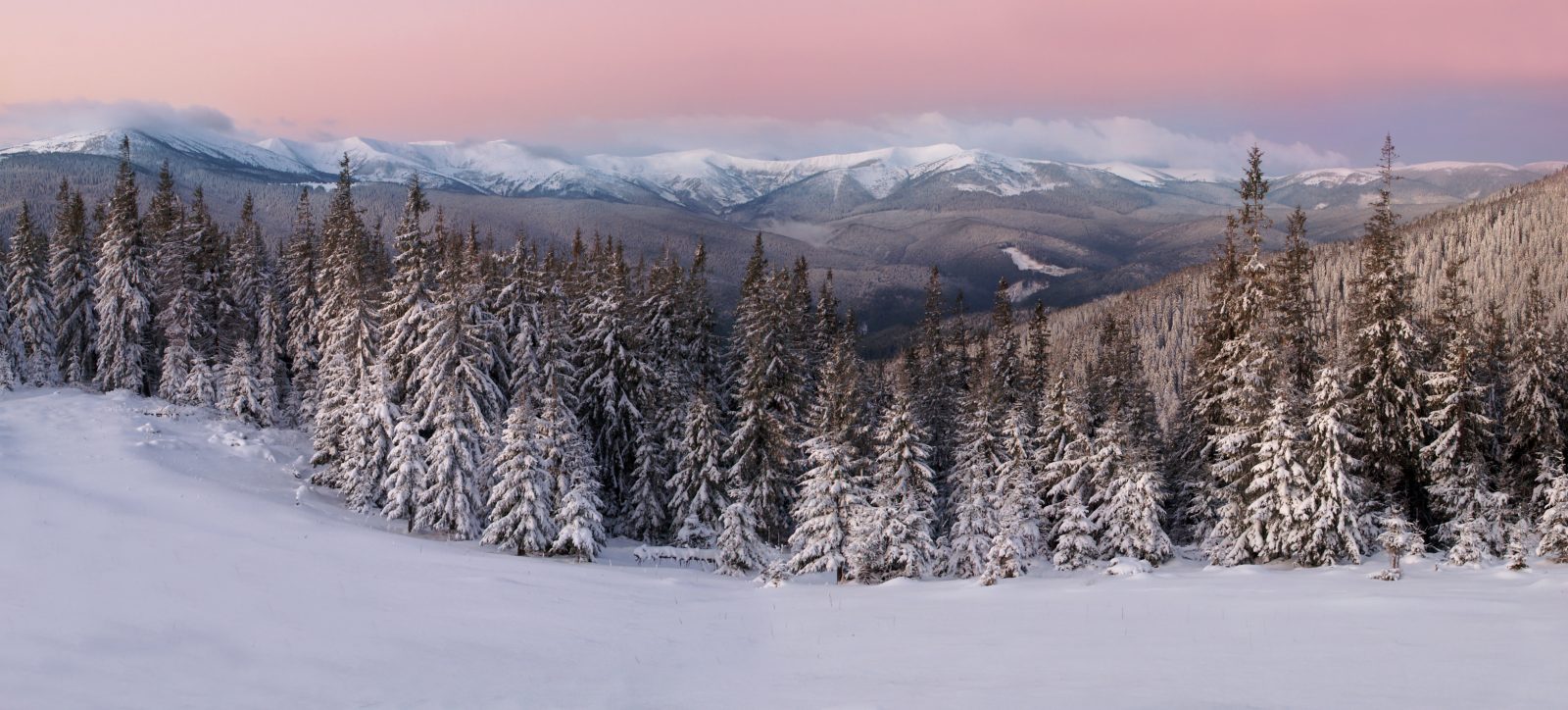 Morning in the winter mountains 1078755